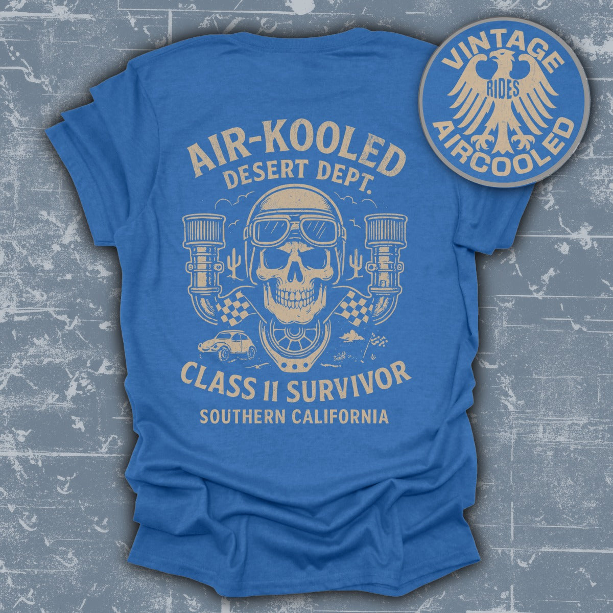 Air-Kooled Class 11 Survivor