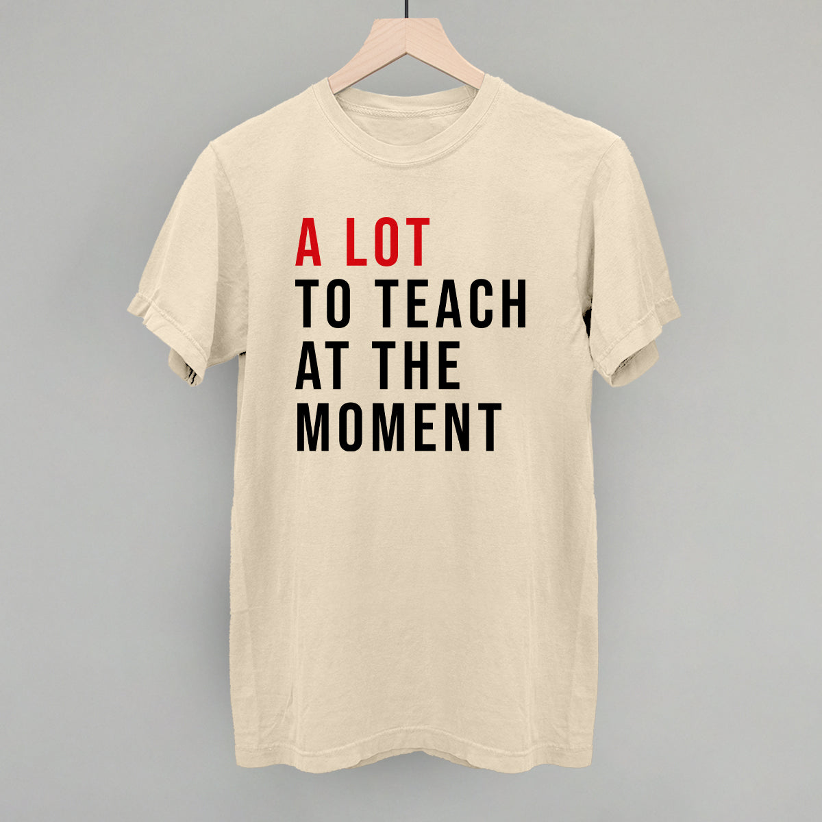 A Lot To Teach At The Moment product image 5