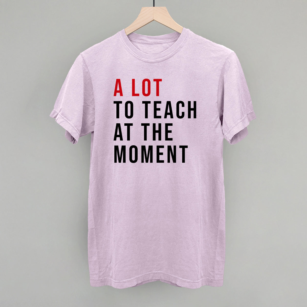 A Lot To Teach At The Moment product image 10