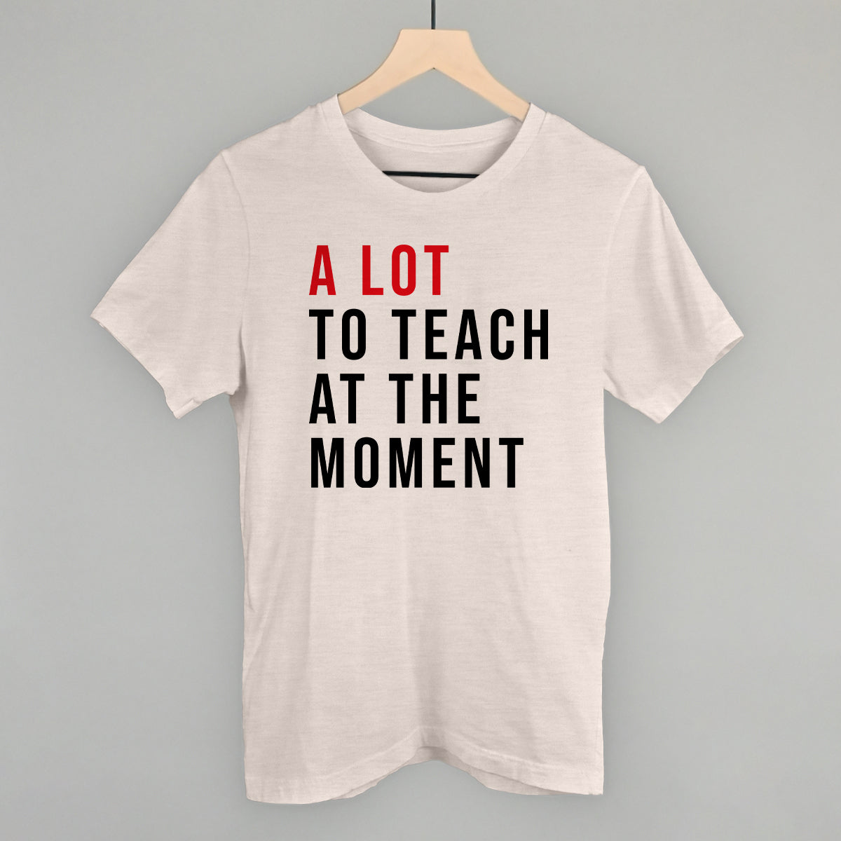 A Lot To Teach At The Moment product image 3