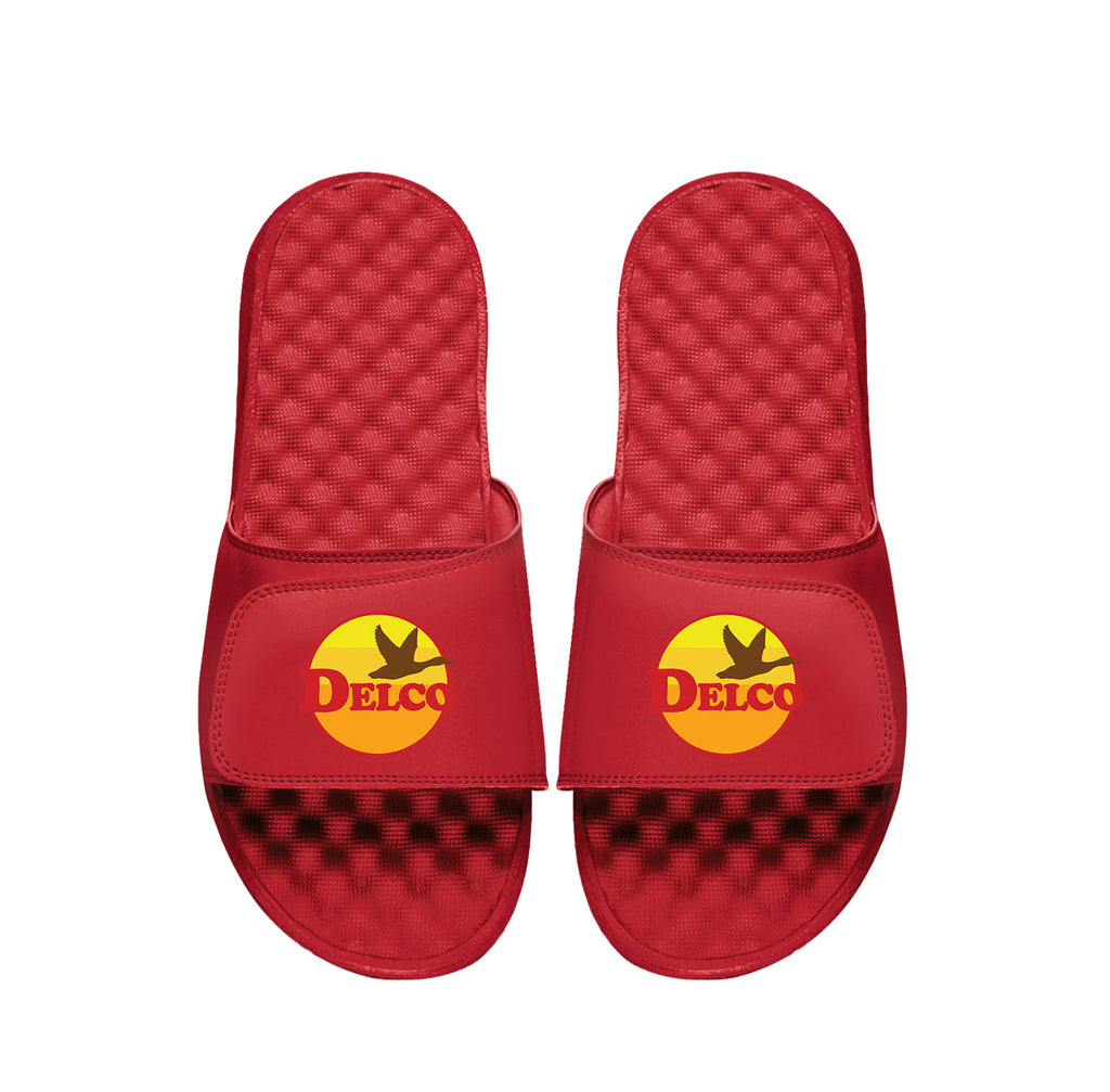 "Delco Goose" Slides