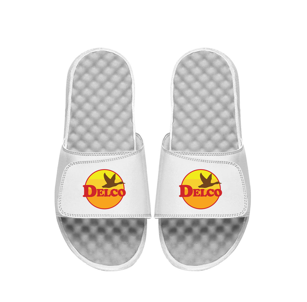 "Delco Goose" Slides