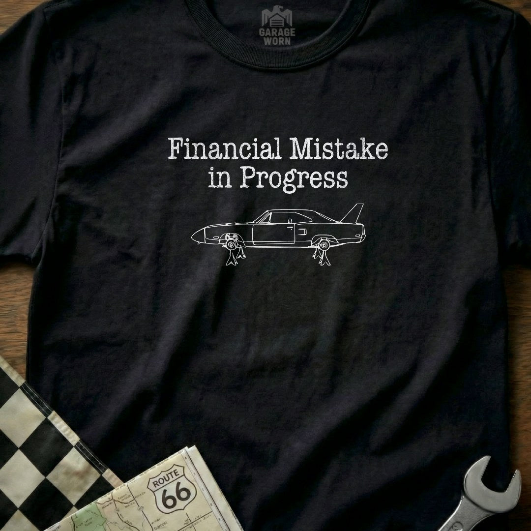 Financial Mistake in Progress 6