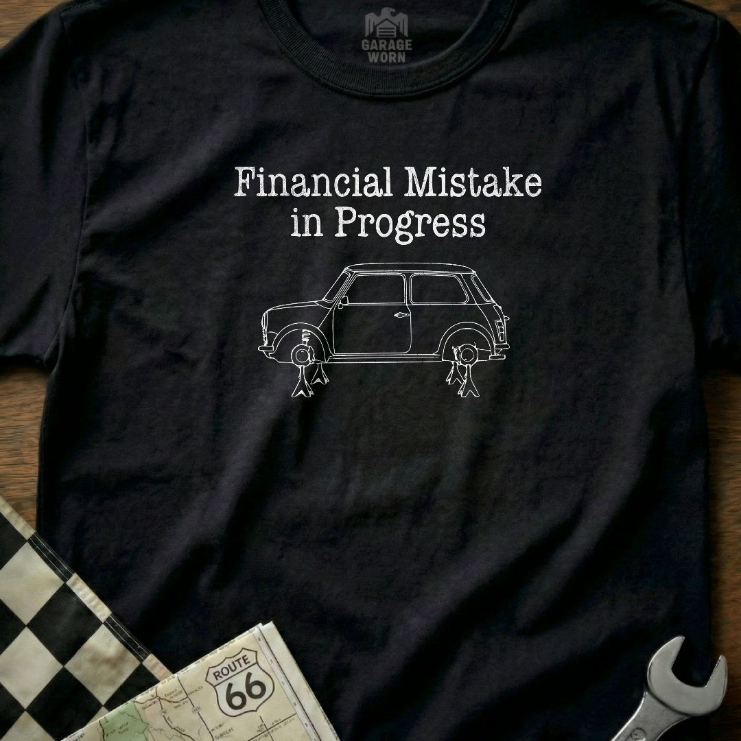 Financial Mistake in Progress 17