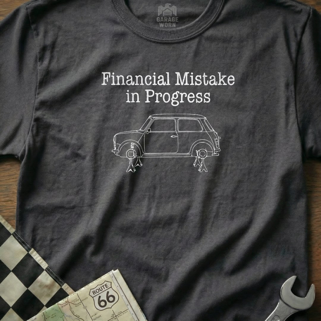 Financial Mistake in Progress 17