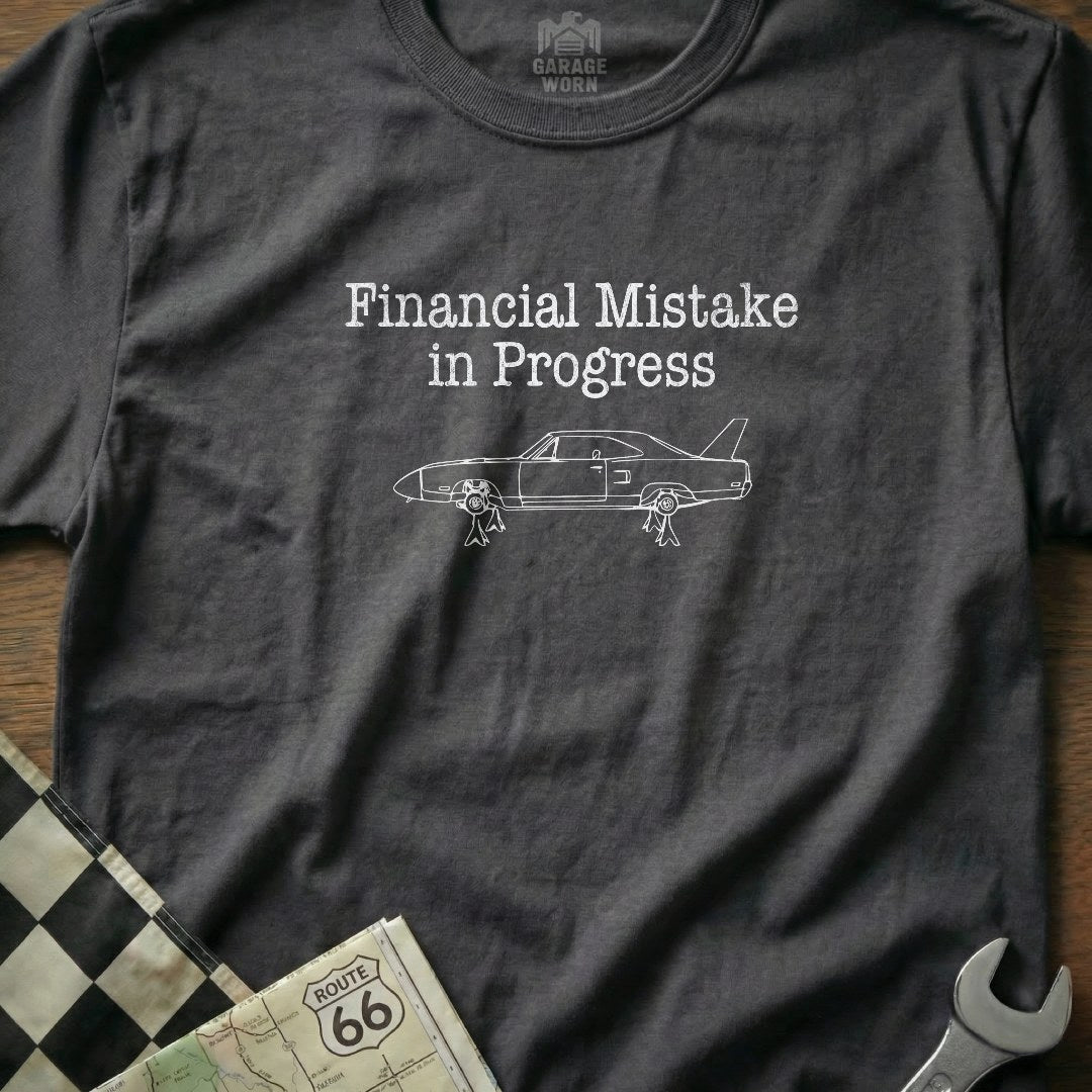Financial Mistake in Progress 6