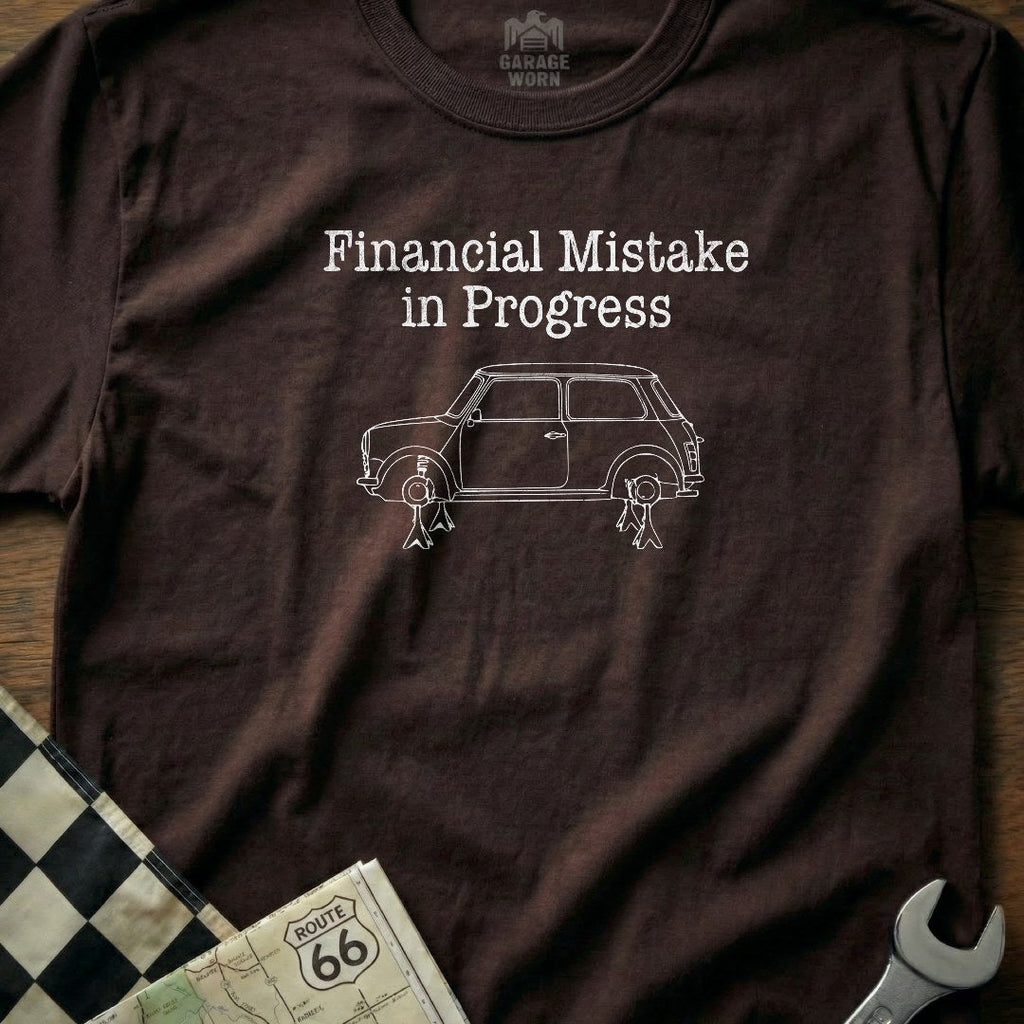 Financial Mistake in Progress 17