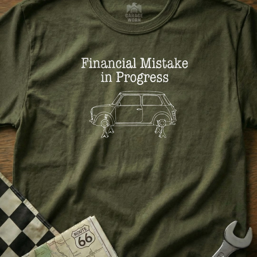 Financial Mistake in Progress 17