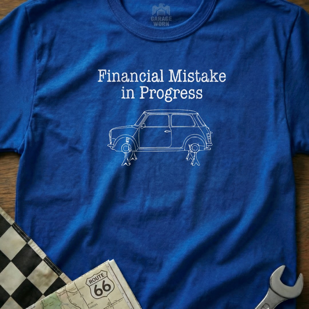 Financial Mistake in Progress 17