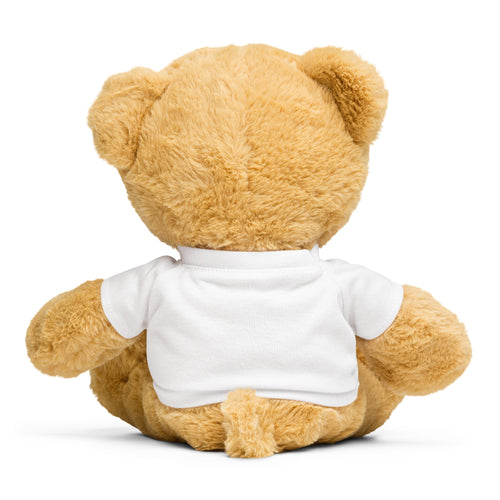 "Dallas Sucks" Teddy Bear
